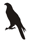 Hawk Silhouette Decal Sticker